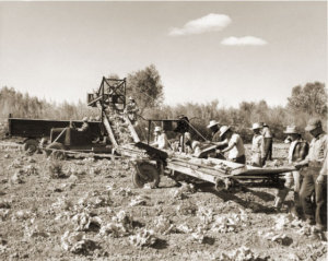 Historic Field Work Photo