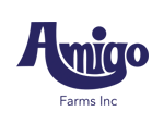 amigo